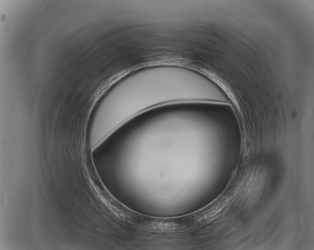 X0000087640437200705030756