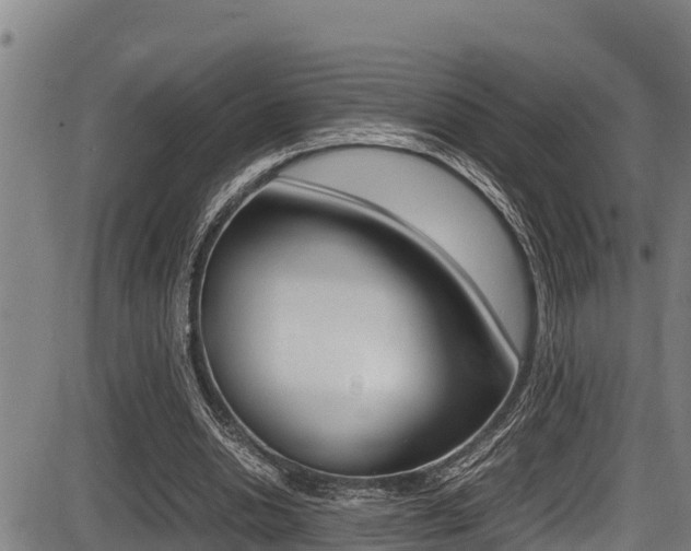 X0000087640438200705030756