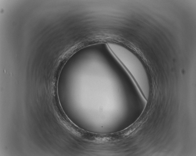 X0000087640450200705030756