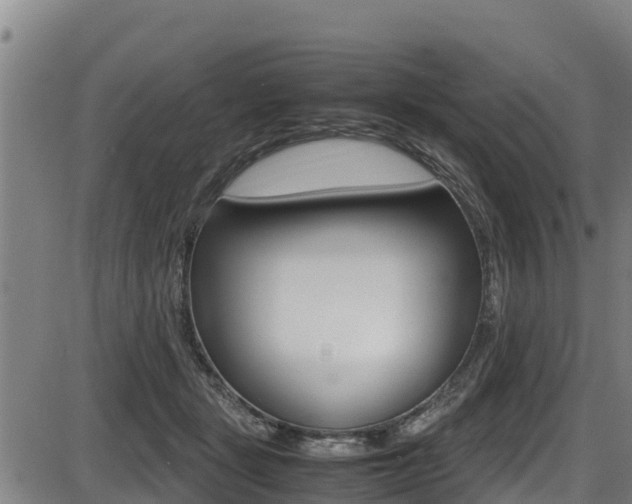 X0000087640461200705030757