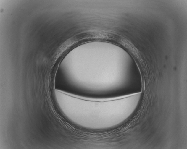 X0000087640483200705030756