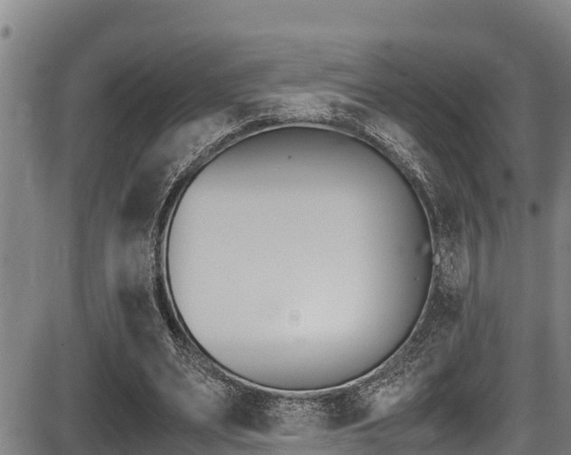 X0000087640487200705030756