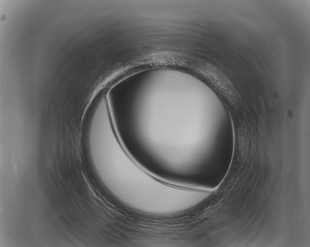 X0000087640488200705030756