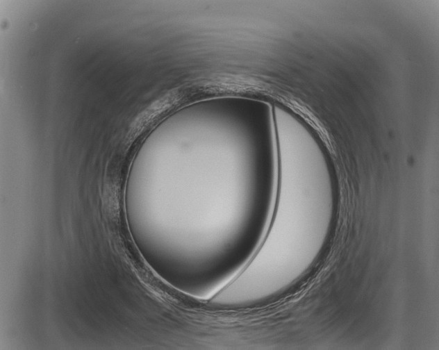X0000087640489200705030756