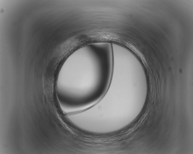 X0000087640493200705030756