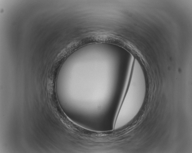X0000087640497200705030756