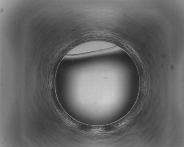 X0000087640505200705030756