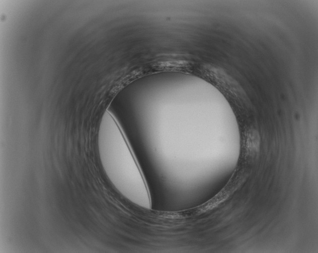 X0000087640567200705030755