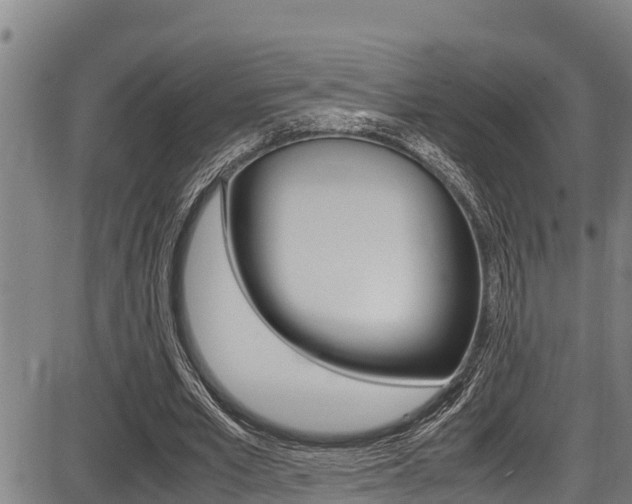 X0000087640581200705030755