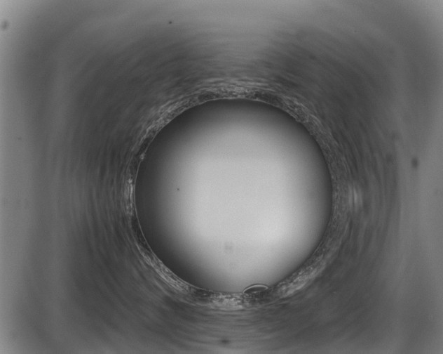 X0000087640624200705030754
