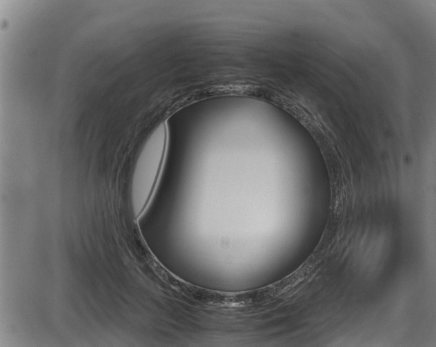X0000087640647200705030753