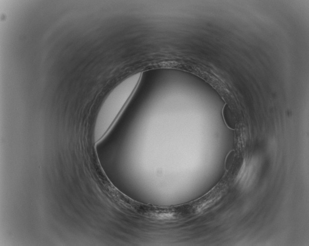 X0000087640651200705030753