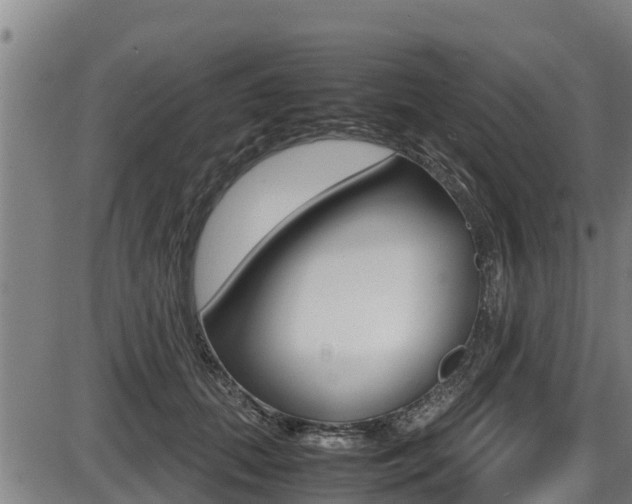X0000087640655200705030754