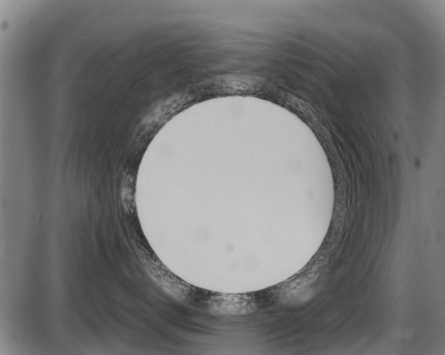 X0000087640672200705030754