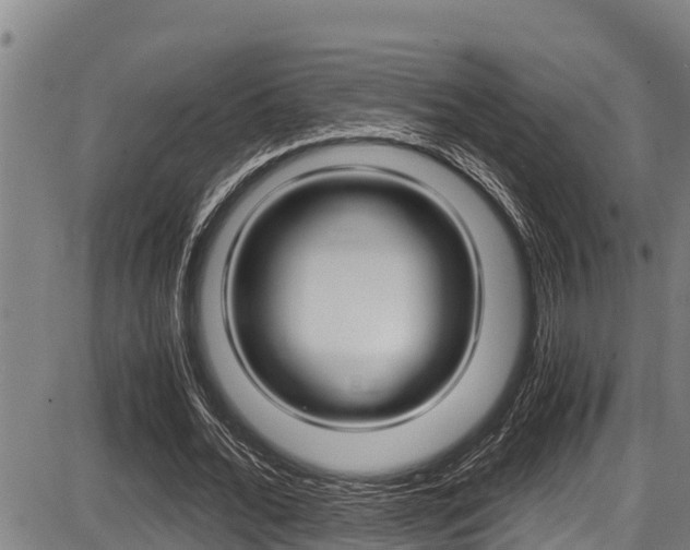 X0000087640676200705030753
