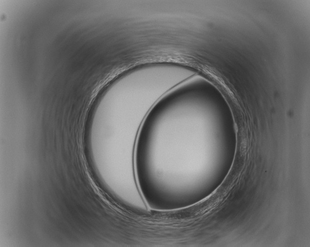 X0000087640677200705030753