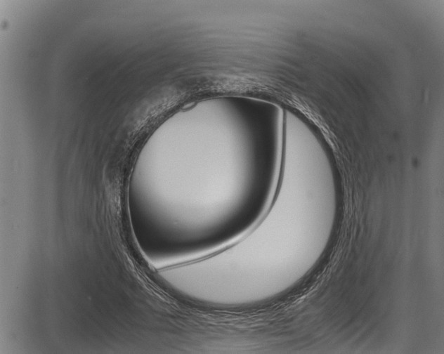 X0000087640681200705030753