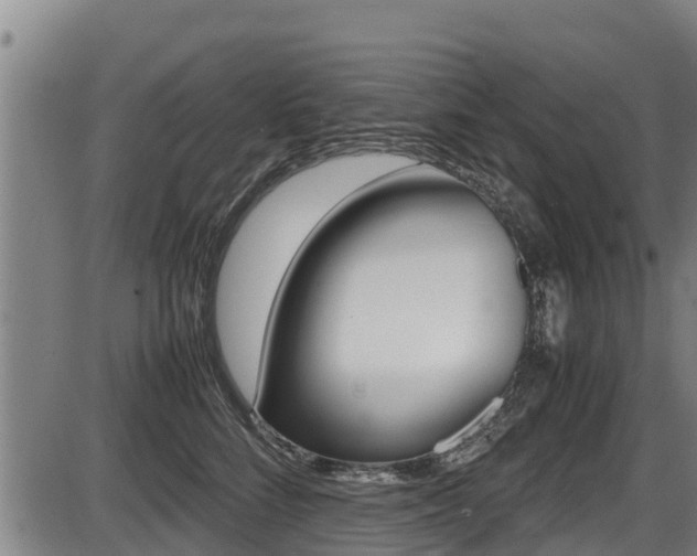 X0000087640712200705030752