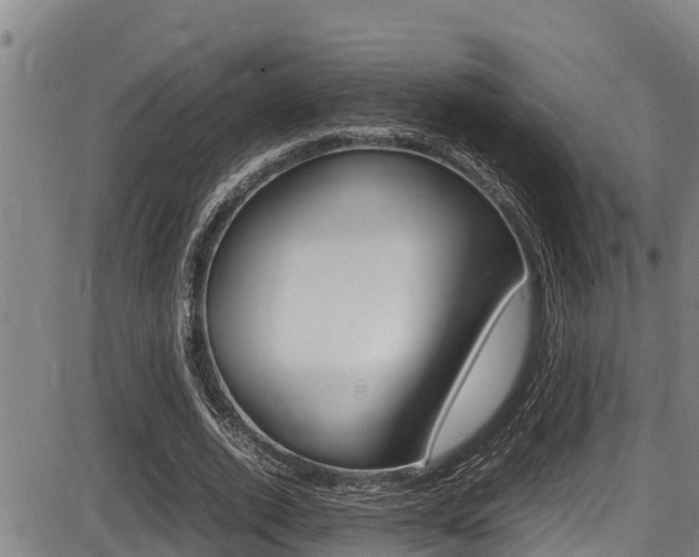 X0000087640728200705030752