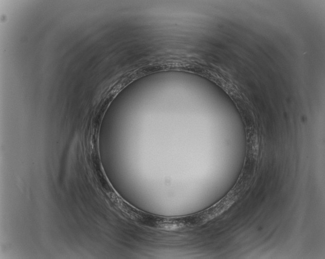 X0000087640746200705030752