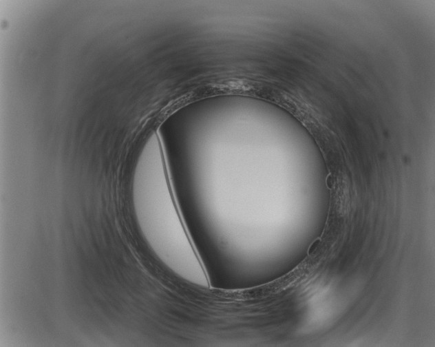 X0000087640747200705030752