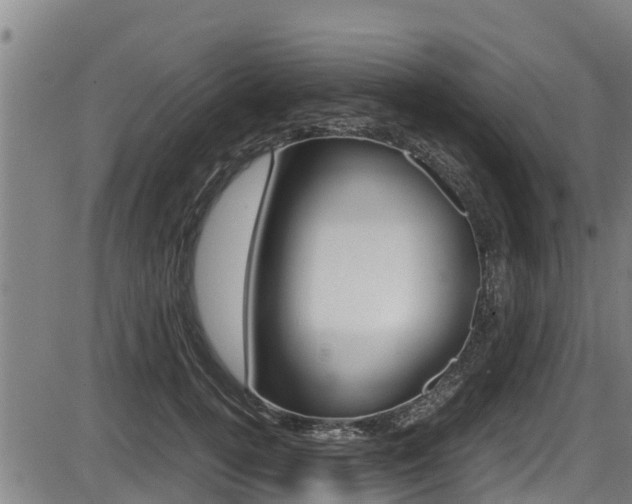 X0000087640752200705030752