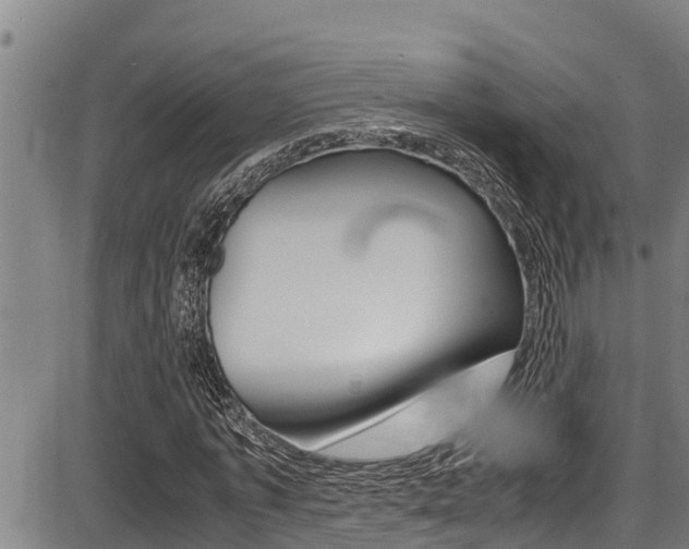 X0000087640773200705030751