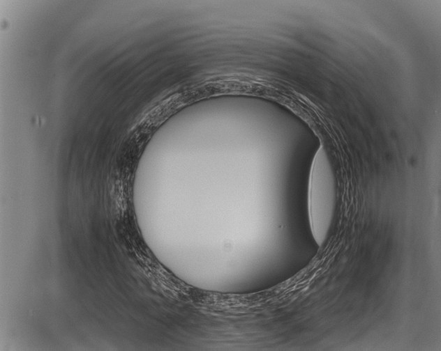 X0000087640774200705030751