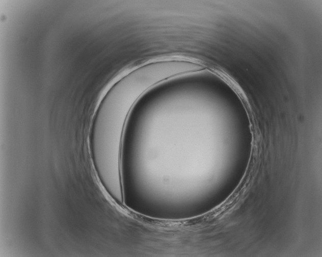 X0000087640813200705030751