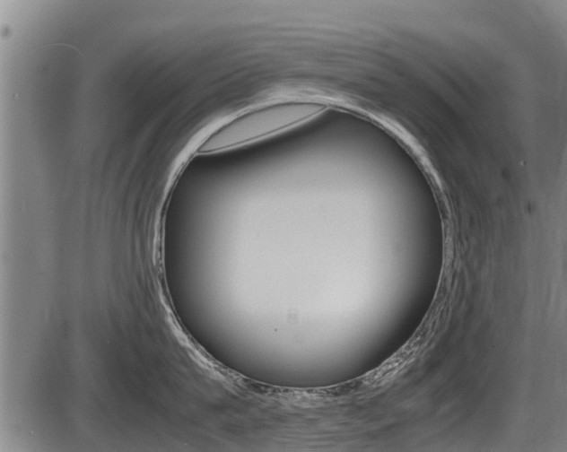 X0000087640815200705030751