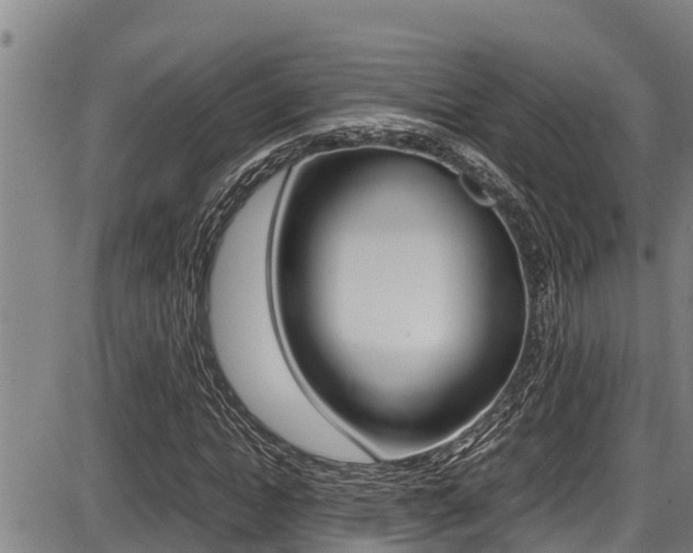 X0000087640822200705030750