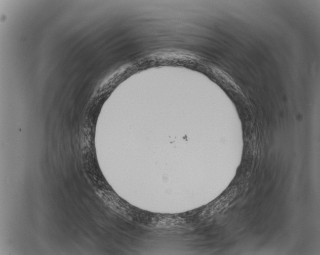 X0000087640824200705030750