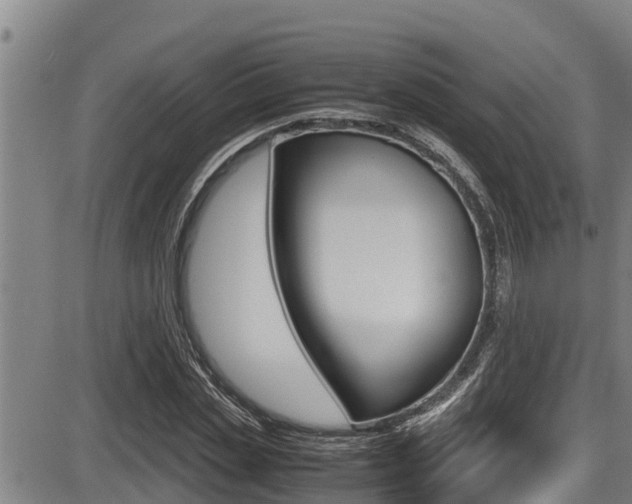 X0000087640829200705030750