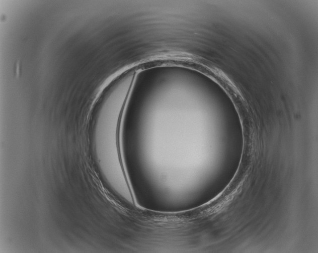 X0000087640830200705030750