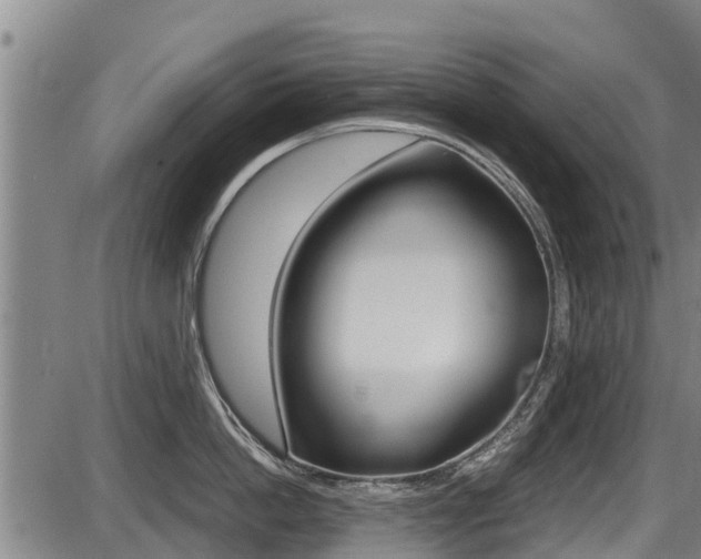 X0000087640862200705030751