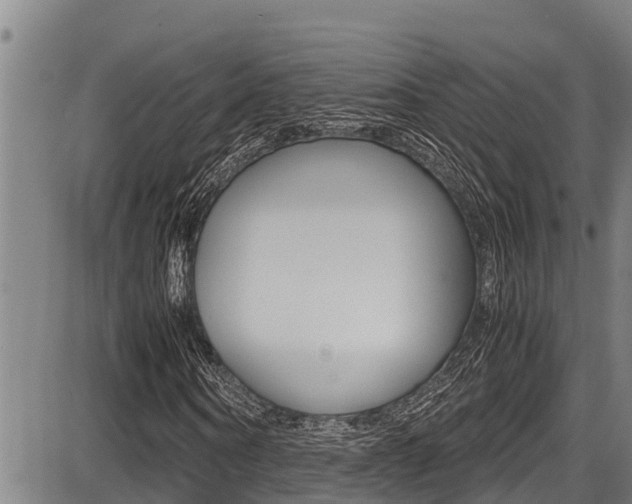 X0000087640866200705030750
