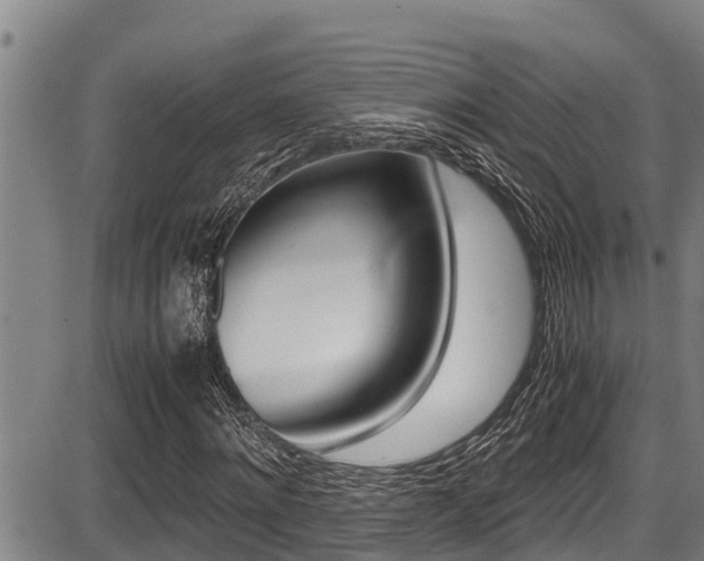 X0000087640868200705030750