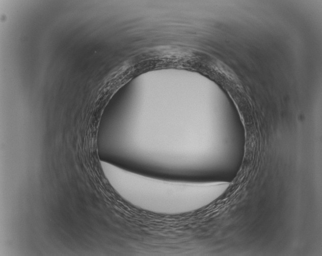 X0000087640869200705030750