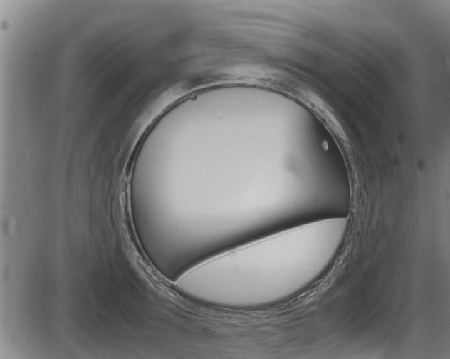 X0000087640899200705030749