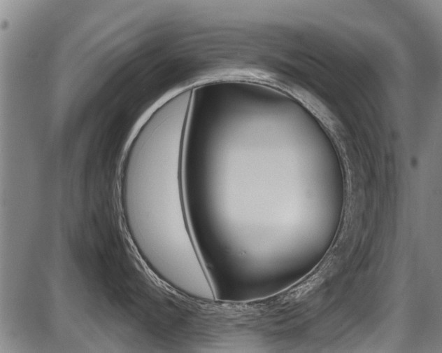 X0000087640912200705030749