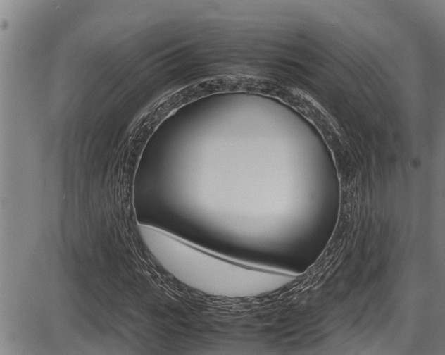 X0000087640919200705030748