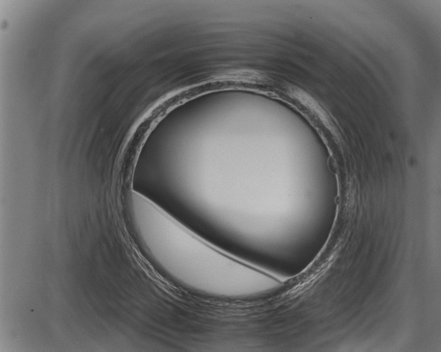 X0000087640923200705030748