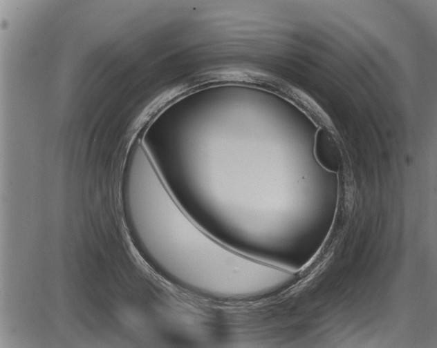 X0000087640938200705030749