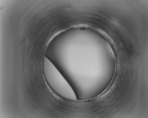 X0000087640945200705030749