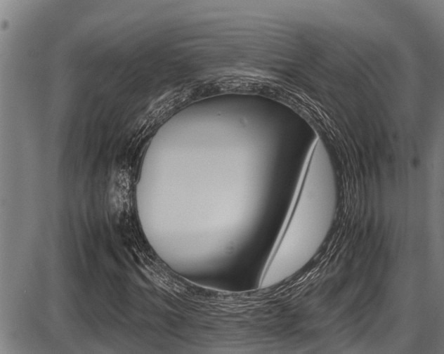X0000087640964200705030748