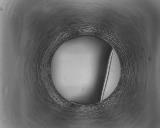 X0000087641009200705030747