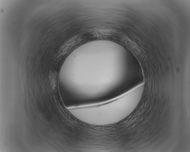X0000087641012200705030747