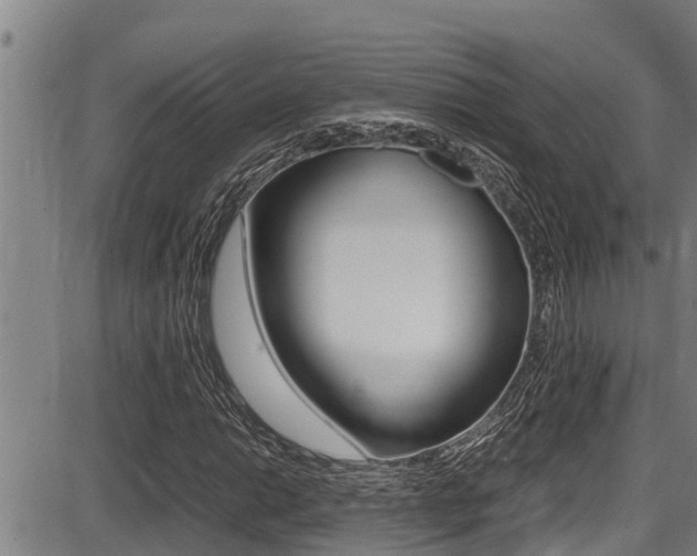 X0000087641014200705030747