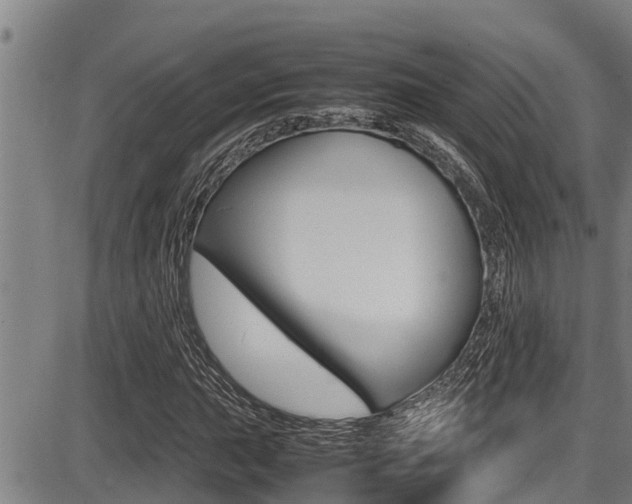 X0000087641015200705030747