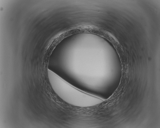 X0000087641016200705030747